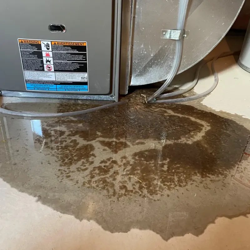 Appliance Leak Cleanup in Monte Sereno, CA